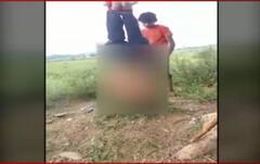 ਸੋਨੀਪੱਤ 'ਚ ਨੌਜਵਾਨ ਨੂੰ ਦਰਖਤ ਨਾਲ ਪੁੱਠਾ ਲਟਕਾ ਕੇ ਦਿੱਤੀ ਤਾਲੀਬਾਨੀ ਸਜਾ