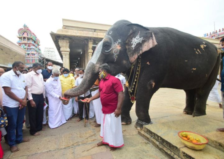 திமுக ஆட்சிக்கு வந்த 130 நாட்களில் 180 ஏக்கர் நிலங்கள் மீட்பு- அமைச்சர் பி.கே.சேகர்பாபு