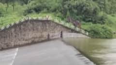 નવસારીનો કેલીયા ડેમ સંપૂર્ણ ભરાયો, 23 ગામને એલર્ટ કરાયા, જુઓ ગુજરાતી ન્યુઝ