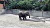 Alipore Zoo: āĻ'āĻŽāĻžāϏ āĻĒāϰ āĻā§āϞāϞ āĻāĻŋāĻĄāĻŧāĻŋā§āĻžāĻāĻžāύāĻž, āĻā§āĻāĻŋāĻĄ āĻŦāĻŋāϧāĻŋ āĻŽā§āύ⧠āĻĒā§āϰāĻŦā§āĻļā§āϰ āĻ
āύā§āĻŽāϤāĻŋ| Bangla News