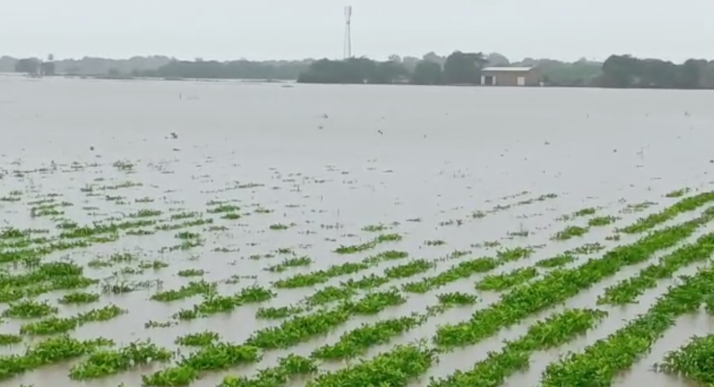 ગુજરાતમાં મેઘરાજે સર્જી તબાહી, કેટલાક ગામ થયા જળમગ્ન, જુઓ તારાજીની તસવીરો