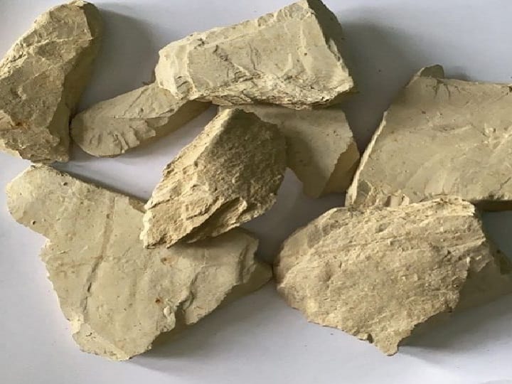 Know about the benefits of Multani Mitti for these health problems | Multani Mitti Benefits: सिर्फ स्किन ही नहीं सेहत के लिए भी बहुत फायदेमंद है मुल्तानी मिट्टी, जानें यूज करने का