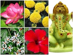 जानिए किस देवता को कौन सा फूल है पसंद, इन फूलों से करेंगे पूजा तो जरूर होगी मनोकामना पूरी
