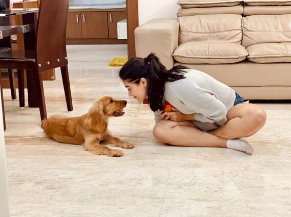 Actress Rashmika Mandanna pics : எங்கிருந்தோ வந்த அழகே... - ரஷ்மிகா மந்தனா போட்டோஸ் Actress Rashmika Mandanna pics : எங்கிருந்தோ வந்த அழகே... - ரஷ்மிகா மந்தனா போட்டோஸ்