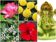 जानिए किस देवता को कौन सा फूल है पसंद, इन फूलों से करेंगे पूजा तो जरूर होगी मनोकामना पूरी
