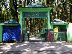 North Bengal Safari Park:অপেক্ষার অবসান, সাড়ে চার মাস পর খুলল শিলিগুড়ির বেঙ্গল সাফারি