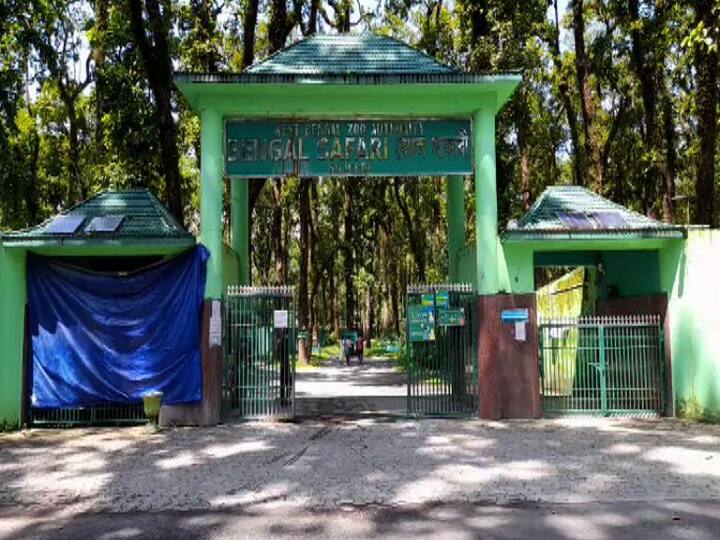 দীর্ঘ প্রতিক্ষার অবসান। অবশেষে আজ থেকে খুলে গেল বেঙ্গল সাফারি পার্ক। করোনার দ্বিতীয় ঢেউয়ের পর, আজ থেকে খুলল এই পর্যটন কেন্দ্র ।