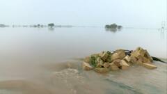 Gujarat: जूनागढ़ में भारी बारिश, दूर-दूर तक सिर्फ पानी-ही-पानी | Ground Report