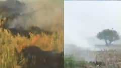 Stubble Burning: UP's Yogi Adityanath govt withdraws 868 cases against farmers