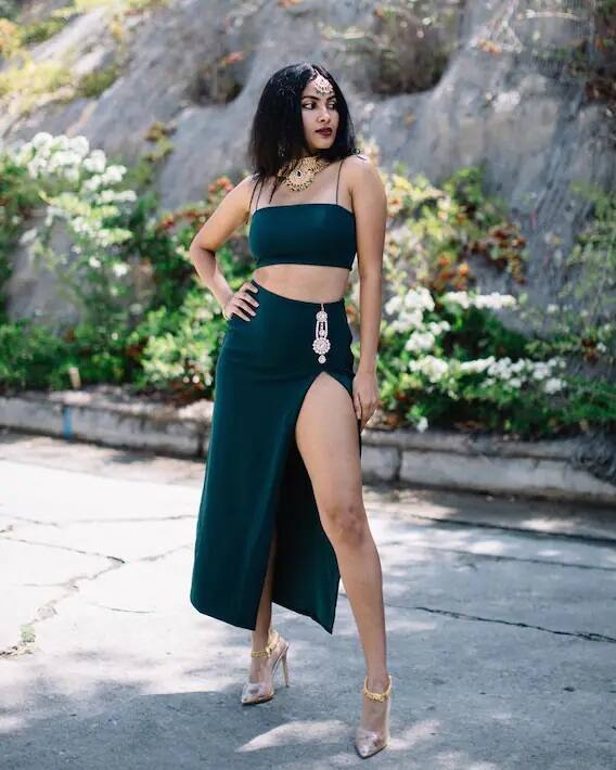 विद्या वोक्स या नावाने प्रसिद्ध असलेल्या या YouTuber चे खरे नाव विद्या अय्यर आहे. लोकांना तिचे म्युझिक चॅनेल खूप आवडते. चेन्नईमध्ये जन्मलेल्या विद्याचे सुमारे 7 लाख सब्सक्रायबर्स आहेत आणि तिचे निव्वळ मूल्य सुमारे नऊ कोटी आहे.