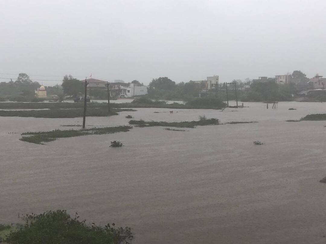 Heavy to very heavy rains forecast for next three days in state, red alert alert removed from Saurashtra રાજ્યમાં આગામી ત્રણ દિવસ ભારેથી અતિભારે વરસાદની આગાહી, સૌરાષ્ટ્રમાંથી રેડ એલર્ટની આગારી દૂર કરાઈ