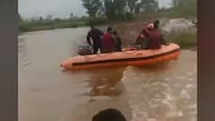 Kolhapur rains: SDRF rescue 12 langurs