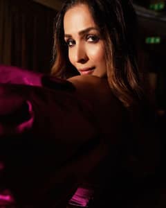 हुस्न वाले तेरा जवाब नहीं: Malaika Arora ने एक बार फिर अपने ग्लैमरस अवतार से की सबकी बोलती बंद, देखें तस्वीरें