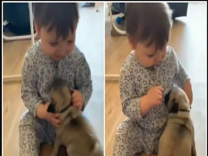 Video of little boy playing with his dog goes viral in twitter 'கொஞ்சி கொஞ்சி அலைகள் ஓட...' - நாயை கொஞ்சும் குழந்தை -வைரல் வீடியோ !