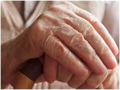 Brain Diet: अल्जाइमर को दूर रखने के लिए क्या खाएं और क्या नहीं, जानिए