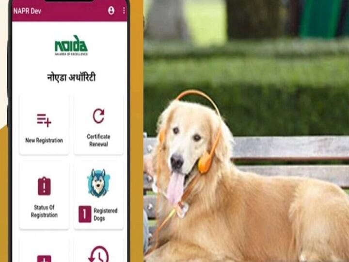 Noida residents can register their pets through a mobile phone app Noida | செல்லப்பிராணிகளுக்கு 'ஆப்'.. நொய்டாவில் புதுத்திட்டம்.. ப்ளான் இதுதான்!