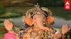 Ganeshotsav 2021 : वासुदेवासोबत बाप्पाचं दर्शन, राज्यभरातील विविध गणरायांच्या सुरेख मूर्ती आणि देखावा