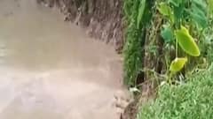 Bangla News: বছরভর গঙ্গায় ভাঙন-আতঙ্কে সামশেরগঞ্জের মানুষ