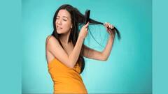 Hair Care: বর্ষাকালে চুলে জট পড়ে যাচ্ছে? কীভাবে সামলাবেন চুলের বিভিন্ন সমস্যা?