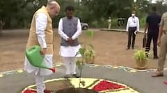 Union HM Amit Shah plants 10 millionth sapling in Nanded during CRPF's plantation drive