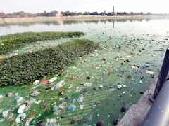 અમદાવાદ:સાબરમતી નદીમાં પ્રદુષણને અટકાવવા ગુજરાત હાઇકોર્ટની સુઓમોટો સુનાવણી, જુઓ ગુજરાટી ન્યુઝ