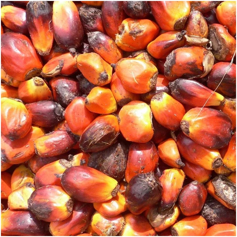 Did You Know? Palm Oil Used In Packaged-Street Food Can Be Risky For Your Heart