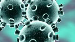 Coronavirus India Update: 35,000 new cases in past 24 hrs, recovery rate 97.5%