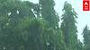 Vidarbha Rain : अकोला, चंद्रपूर, गडचिरोली, गोंदियात विजांच्या कडकडाटासह पावसाची शक्यता