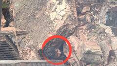 চুরি করতে এসে বারান্দা ভেঙে ধ্বংসস্তূপের নীচে আটকে গেল চোর