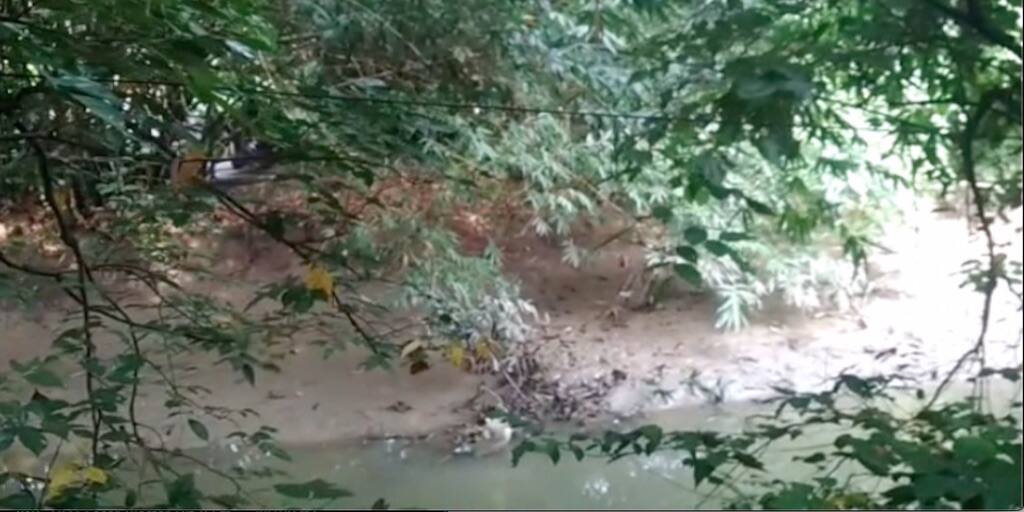 Howrah: যুবকের রহস্যমৃত্যুতে চাঞ্চল্য সাঁকরাইলে, খালের ধার থেকে উদ্ধার কর্দমাক্ত দেহ Howrah: an youth's deadbody found from pool Howrah: যুবকের রহস্যমৃত্যুতে চাঞ্চল্য সাঁকরাইলে, খালের ধার থেকে উদ্ধার কর্দমাক্ত দেহ