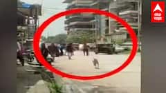 Ulhasnagar : 10 ते 15 जणांकडून भरदिवसा युवकाची हत्या, चौकात धारदार शस्त्राने वार : ABP Majha