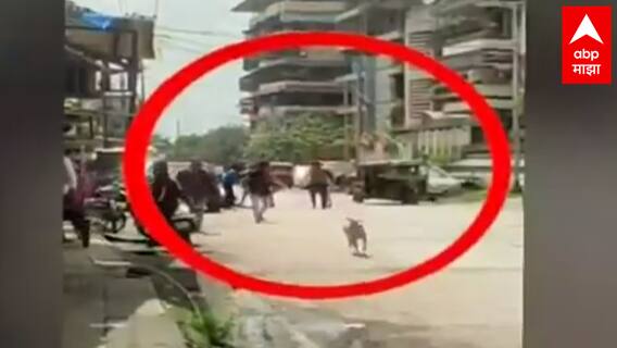 Ulhasnagar : 10 ते 15 जणांकडून भरदिवसा युवकाची हत्या, चौकात धारदार शस्त्राने वार : ABP Majha