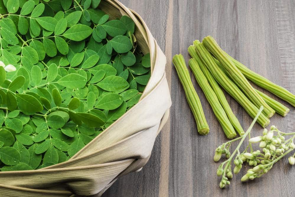 coronavirus Know Benefits Of having Moringa During Covid-19 Corona से लड़ने के लिए आपनी डाइट में जरूर शामिल करें ये खास चीज, कई हैं इसके फायदे