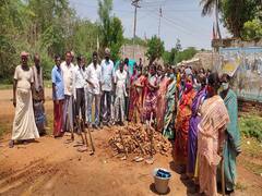 திருவாரூர்: இது எதிர்காலத்துக்கானது.. ஒரு லட்சம் பனைவிதைகளுடன் களமிறங்கிய கிராம மக்கள்!