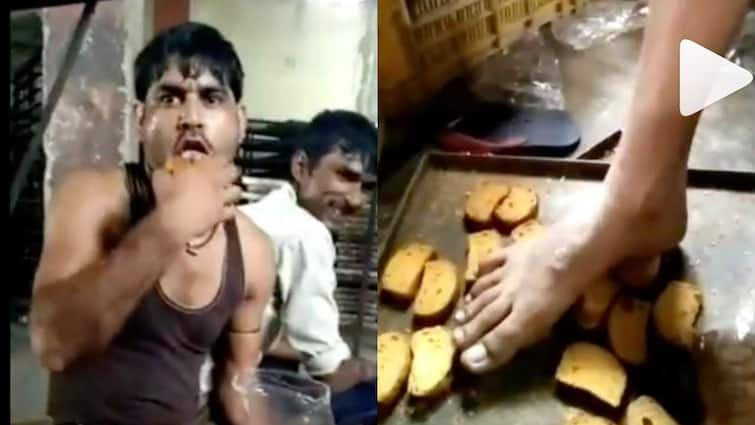 Think twice before you eat! Factory workers step, lick toast before packing - WATCH viral video Viral Video: জিভ দিয়ে চেটে, পা দিয়ে মাড়িয়ে টোস্ট প্যাক করছে শ্রমিকরা! ভাইরাল ভিডিও প্রকাশ্যে আসতেই তোলপাড়