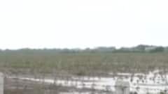 ખેડૂતો માટે રાહતના સમાચાર, વરસાદના કારણે થયેલા નુકસાનને પગલે પેકેજની કરાશે જાહેરાત