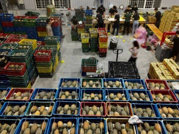 After Pineapples, It's Custard Apples & Wax Apples —China In New Spat With Taiwan Over Fruit Imports After Pineapples, It's Custard Apples & Wax Apples — China In New Spat With Taiwan Over Fruit Imports