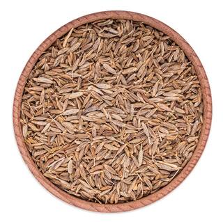 Weight Loss Tips: ਤੇਜ਼ੀ ਨਾਲ ਘਟਾਉਣਾ ਚਾਹੁੰਦੇ ਹੋ ਵਜ਼ਨ ਤਾਂ ਜ਼ੀਰਾ ਵਾਟਰ ਦਾ ਰੋਜ਼ ਕਰੋ ਇਸਤੇਮਾਲ 