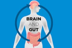 Mental Health with Probiotics: మంచి బ్యాక్టిరియాతో మెదడుకు సంబంధం... వాటి కోసం ఏం తినాలంటే...