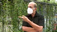 'अगर Bengal में BJP जीतती तो क्या Babul Supriyo कभी TMC में जाते?'- Dinesh Trivedi