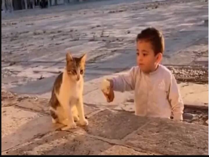 Video of Child giving food to the cat goes viral in twitter with tag of sharing is caring பசிக்குதா எடுத்துக்கோ... சிறுவன் காட்டிய அன்பு - நெகிழ்ச்சியை ஏற்படுத்திய வைரல் வீடியோ !
