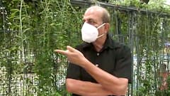 If BJP had won in Bengal, would Babul Supriyo join TMC? - Dinesh Trivedi