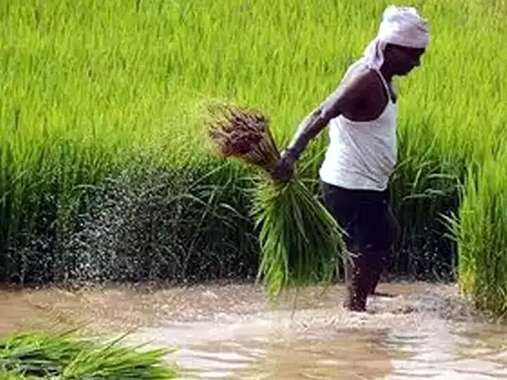 தேனியில் பாதியாக குறைந்த தென்மேற்கு பருவமழை சராசரி - வேதனையில் விவசாயிகள்....!