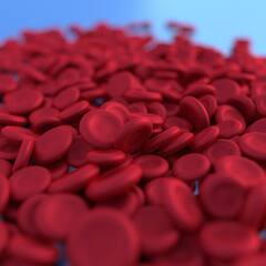 Iron Rich Foods : অ্যানিমিয়া প্রতিরোধ করে, কোন কোন খাবারে রয়েছে আয়রন ?