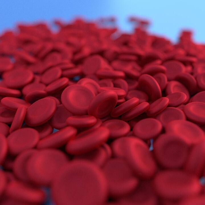 আয়রনের সবথেকে গুরুত্বপূর্ণ কাজ শরীরে অক্সিজেন সরবরাহ করা ও লোহিত রক্তকণিকা উৎপাদন করা। আযরনের অভাবে অ্যানিমিয়ার মতো রোগ হয়। দেখে নিন কোন কোন খাবার আয়রন সমৃদ্ধ।(ছবি সৌজন্যে : Pixabay)