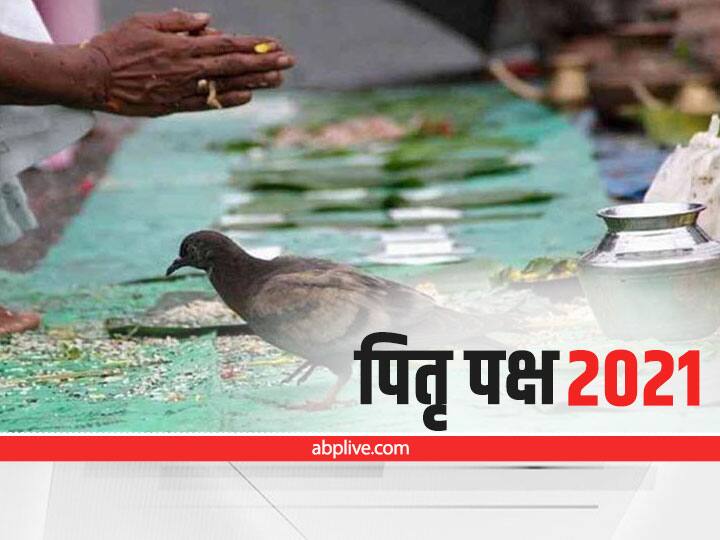 Shradh 2021 why do we get food to crows in pitru paksha know katha Pitru Paksha 2021: पितृ पक्ष प्रारंभ, श्राद्ध में कौवों को भोजन क्यों करवाते हैं, जानें ये रहस्य