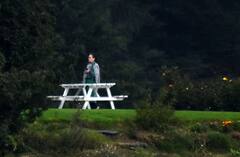 ਪੰਜਾਬ 'ਚ ਮਚੀ ਸਿਆਸੀ ਉਥਲ-ਪੁਥਲ ਵਿਚਾਲੇ, ਸ਼ਿਮਲਾ ਪਹੁੰਚਿਆ ਗਾਂਧੀ ਪਰਿਵਾਰ