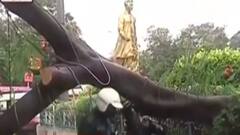 Kolkata Rains: রাতভর বৃষ্টির জের, টালিগঞ্জে উপড়ে গেল গাছ | Bangla News