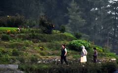 ਪੰਜਾਬ 'ਚ ਮਚੀ ਸਿਆਸੀ ਉਥਲ-ਪੁਥਲ ਵਿਚਾਲੇ, ਸ਼ਿਮਲਾ ਪਹੁੰਚਿਆ ਗਾਂਧੀ ਪਰਿਵਾਰ