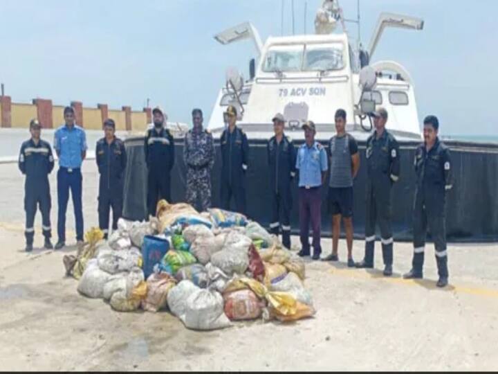 Rameswaram: Two tonnes of banned sea cucumber seized in Mandapam Sea Cucumber Seized: நடுக்கடலில் நங்கூரமிட்டு நின்ற படகு... ரூ.8 கோடி கடத்தல் பொருள்... நடந்தது என்ன?
